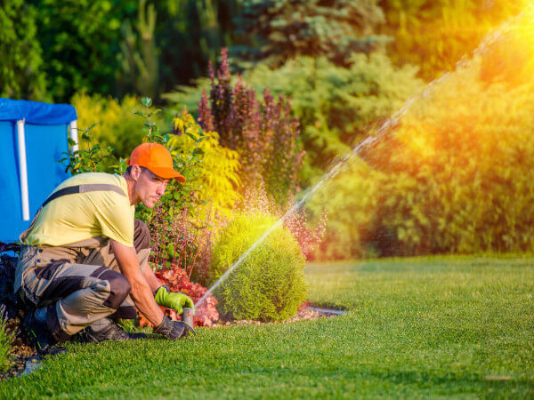 Lawn care company owner adds quality assurance manager positions and sees drop in callbacks